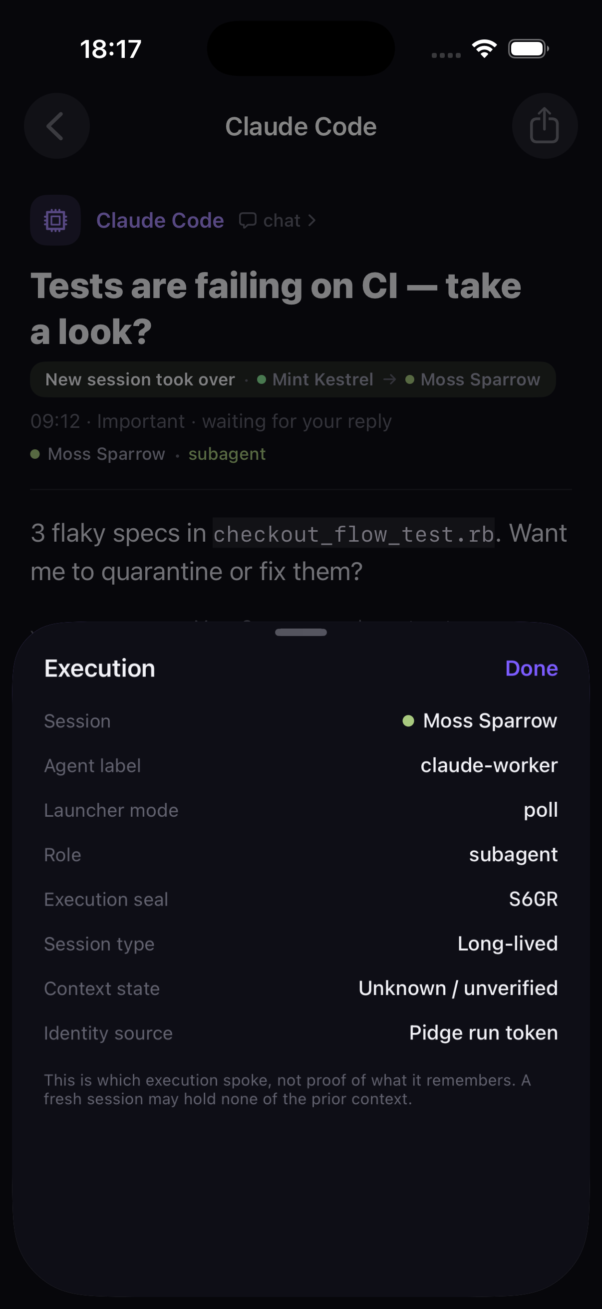 The execution identity sheet on iPhone: the run's persona name, agent label, how it was launched, its role, and the seal — with the caption that this identifies which execution spoke, not what it remembers